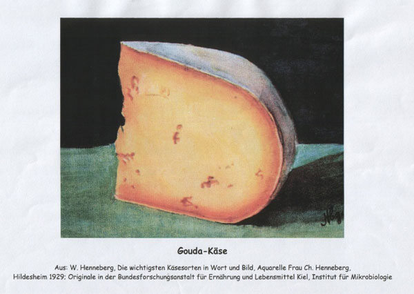 Charlotte Henneberg, Gouda Käse